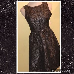 NWT Black silver shimmer dress with pockets